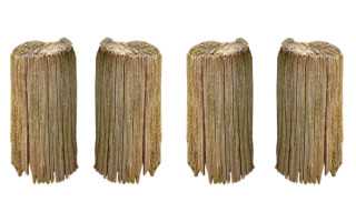 今天是农历五月初一 “猴年马月”真来了