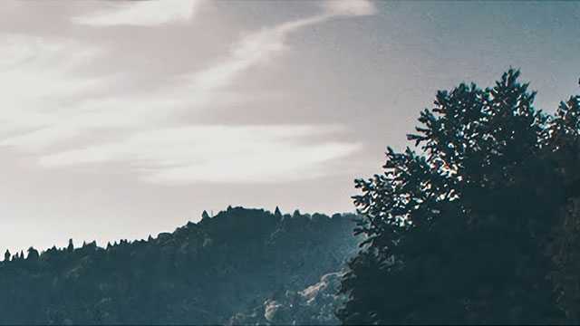 十二生肖相生相克